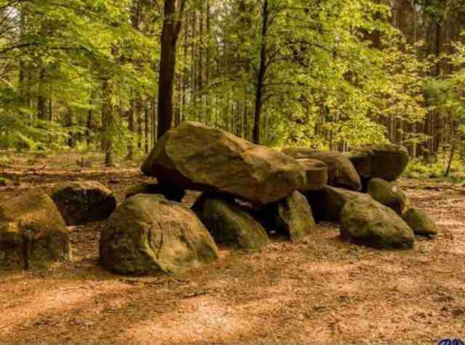 Chalet Midden In De Natuur! Anloo Buitenkant foto